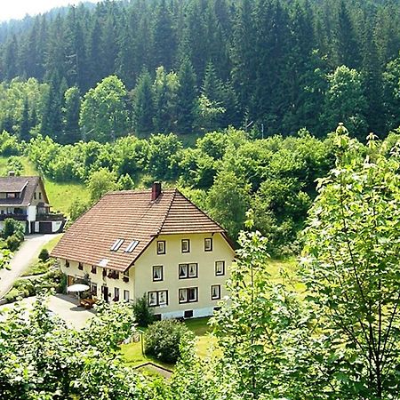 Country Style Flat With Garden Apartment Triberg im Schwarzwald Exterior photo